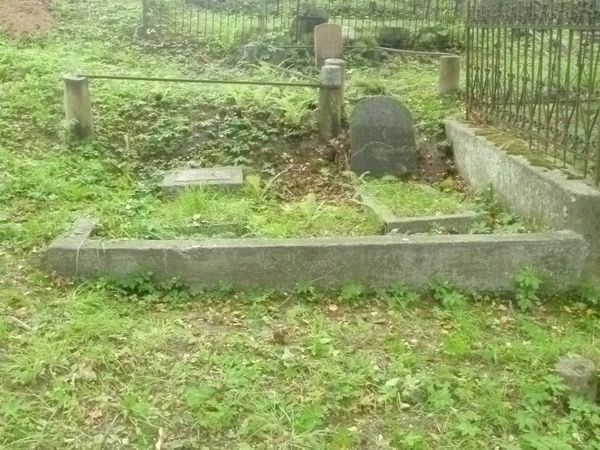 Nagrobek Michała Petrusewicza, cmentarz Na Rossie w Wilnie, stan z 2013 r.