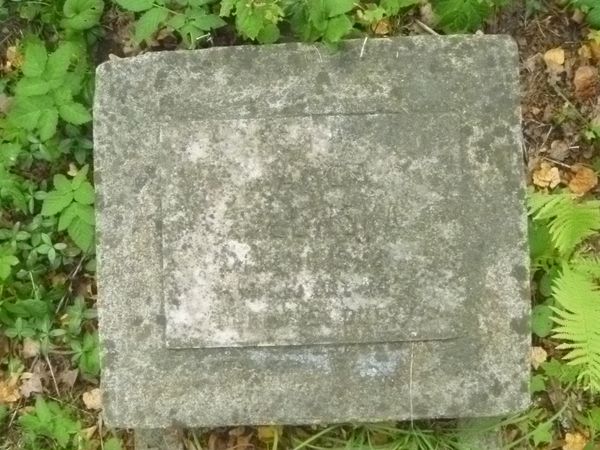 Fragment of Wanda Żyłowska's gravestone, Na Rossie cemetery in Vilnius, as of 2013.