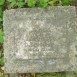 Photo showing Tombstone of Wanda Żyłowska