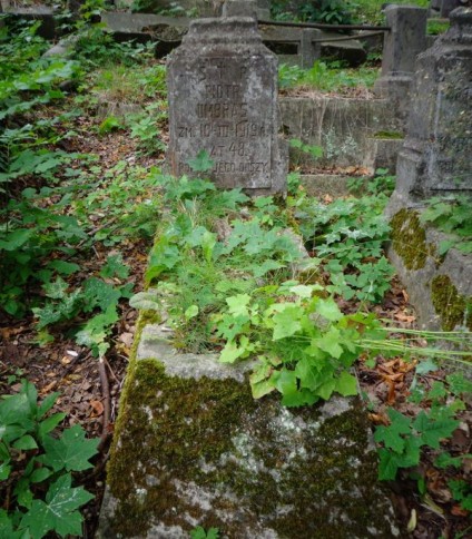 Nagrobek Piotra Umbrasa, cmentarz Na Rossie w Wilnie, stan z 2013 r.