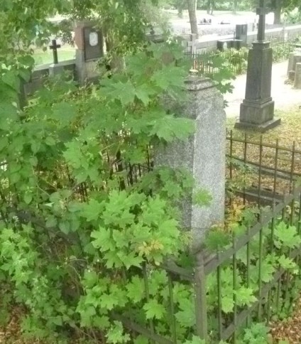 Nagrobek Feliksa Bugajło, cmentarz Na Rossie w Wilnie, stan z 2013