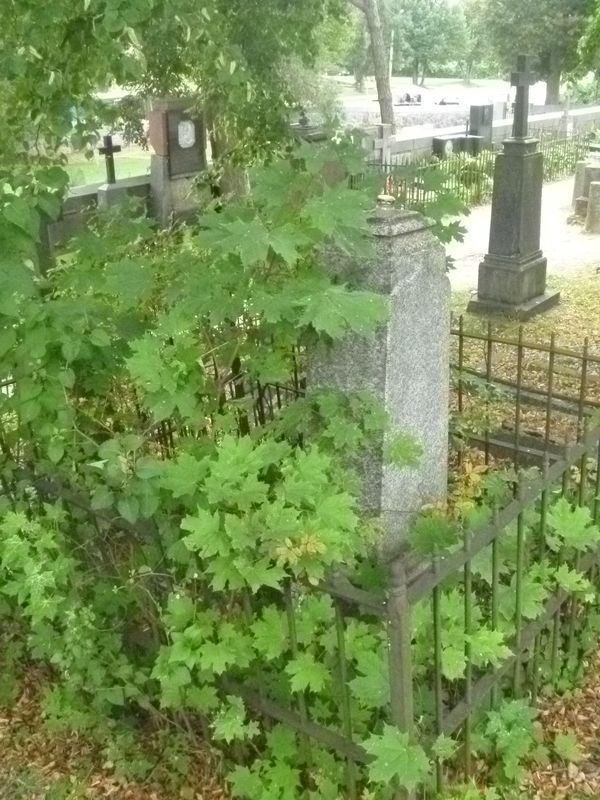 Nagrobek Feliksa Bugajło, cmentarz Na Rossie w Wilnie, stan z 2013