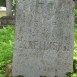Fotografia przedstawiająca Tombstone of Julia Czaplinska