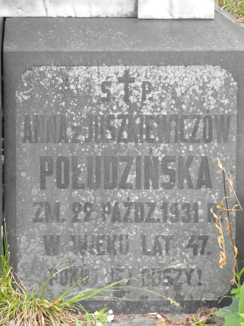 Fragment of the tomb of Anna and Piotr Połudziński, Na Rossie cemetery in Vilnius, as of 2013
