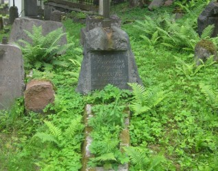 Nagrobek Karoliny Krauze, cmentarz na Rossie, stan z 2013 roku