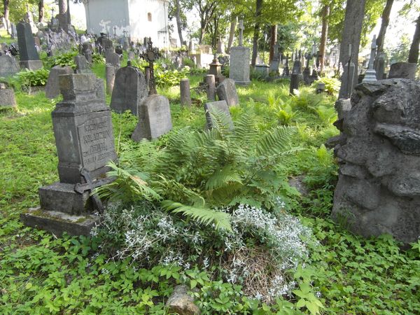 Tombstone of Kazimierz Koładziun, Na Rossie cemetery in Vilnius, state 2013