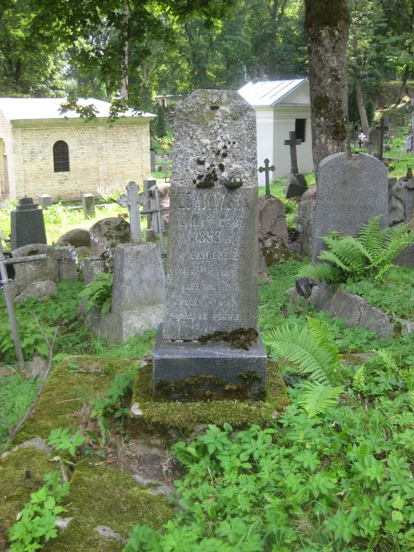 Nagrobek N.N. Zgajewskiej, cmentarz na Rossie, stan z 2013 roku