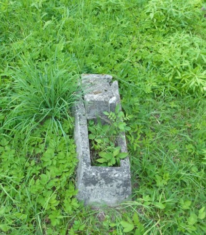 Nagrobek Jasia Sinkiewicza, Cmentarz na Rossie w Wilnie, stan na rok 2013