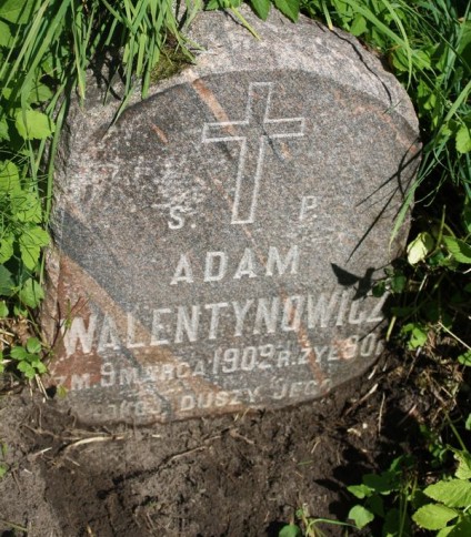Nagrobek Adama Walentynowicza, cmentarz na Rossie w Wilnie, stan z 2013