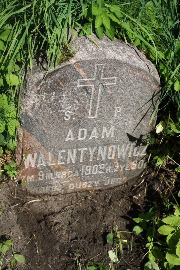 Tombstone of Adam Walentynowicz, Rossa cemetery in Vilnius, as of 2013