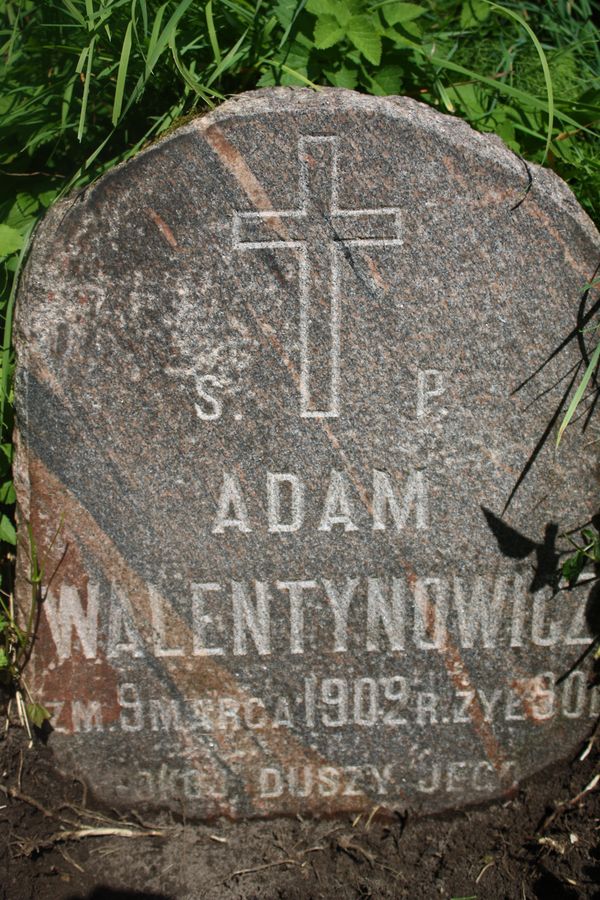 Tombstone of Adam Walentynowicz, Rossa cemetery in Vilnius, as of 2013