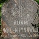 Fotografia przedstawiająca Tombstone of Adam Walentynowicz
