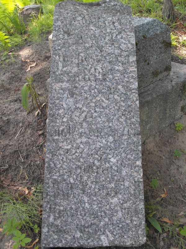 Fragment nagrobka Józefy i Macieja Jaroszewskich, cmentarz na Rossie w Wilnie, stan z 2014