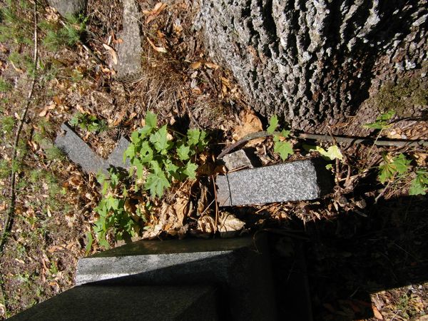 A fragment of the gravestone of Emilia Spitznagel, Na Rossie cemetery in Vilnius, as of 2013