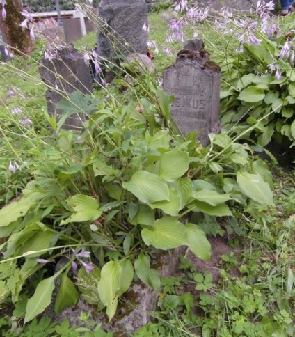 Nagrobek Grzegorza Bejkusa, cmentarz Na Rossie w Wilnie, stan z 2013