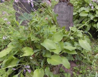 Nagrobek Grzegorza Bejkusa, cmentarz Na Rossie w Wilnie, stan z 2013