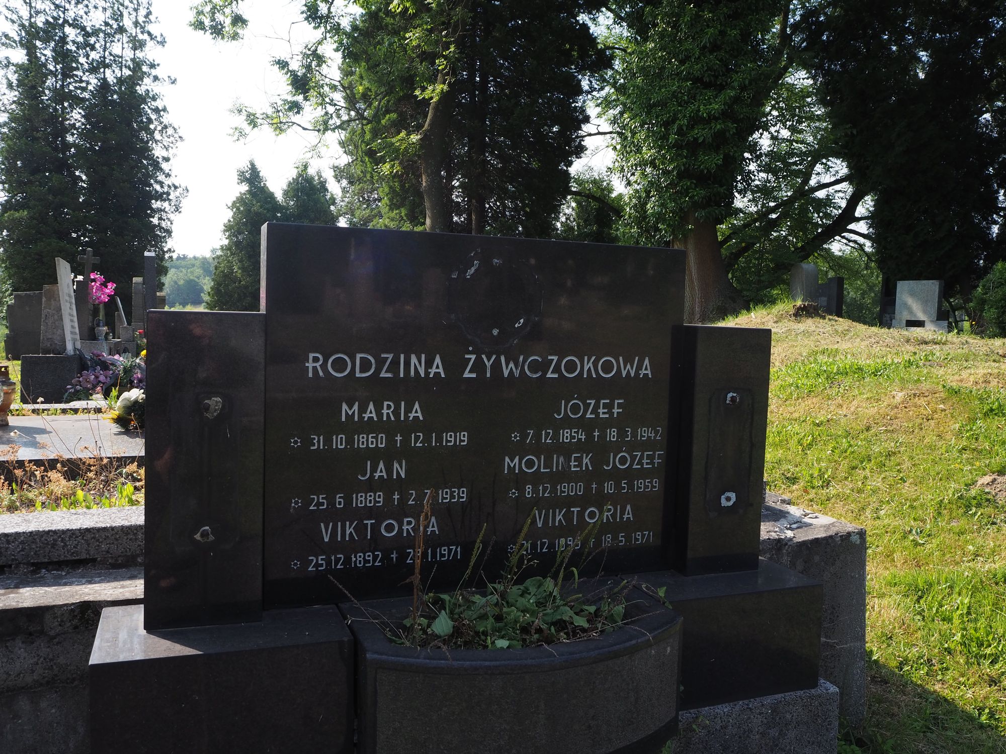 Nagrobek rodziny Żywczokowa, cmentarz w Karwinie Doły, stan z 2022 r.