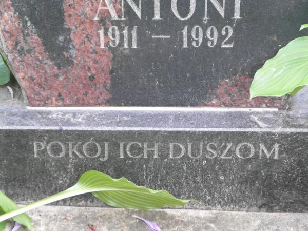 Fragment nagrobka Benedykty i Antoniego Sobieskich, cmentarz Na Rossie w Wilnie, stan z 2013