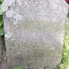 Fotografia przedstawiająca Tombstone of Katarzyna and Marian Zienkiewicz