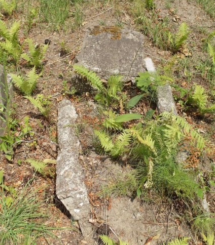 Nagrobek Stefana Borkowskiego, cmentarz na Rossie w Wilnie, stan z 2015