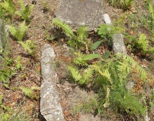 Nagrobek Stefana Borkowskiego, cmentarz na Rossie w Wilnie, stan z 2015