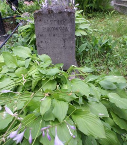 Nagrobek Barbary Żukowskiej, cmentarz Na Rossie w Wilnie, stan z 2013