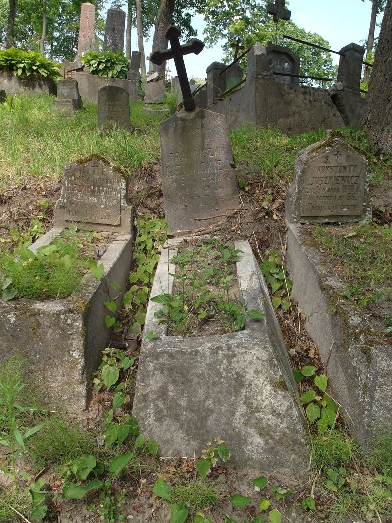 Nagrobek Franciszki Gielwickiej, cmentarz na Rossie w Wilnie, stan z 2015