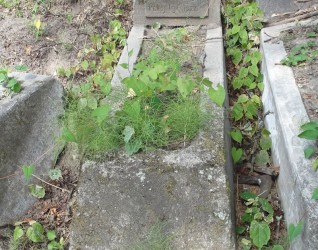 Nagrobek Ludwiki Juszkiewicz, cmentarz na Rossie w Wilnie, stan z 2015