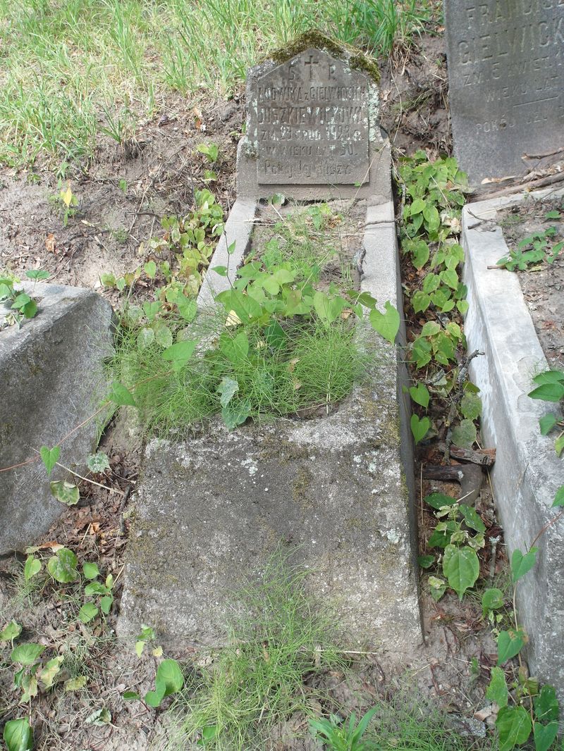 Tombstone of Ludwika Juszkiewicz, Ross cemetery in Vilnius, 2015