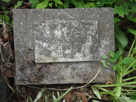 Fragment nagrobka Józefa i Jadwigi Maculewiczów, cmentarz Na Rossie w Wilnie, stan z 2013 r.