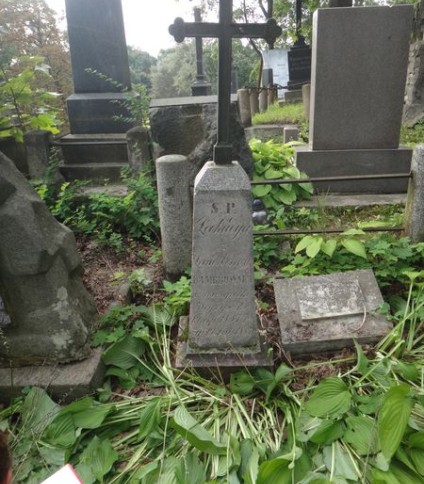 Nagrobek Józefa i Jadwigi Maculewiczów, cmentarz Na Rossie w Wilnie, stan z 2013 r.