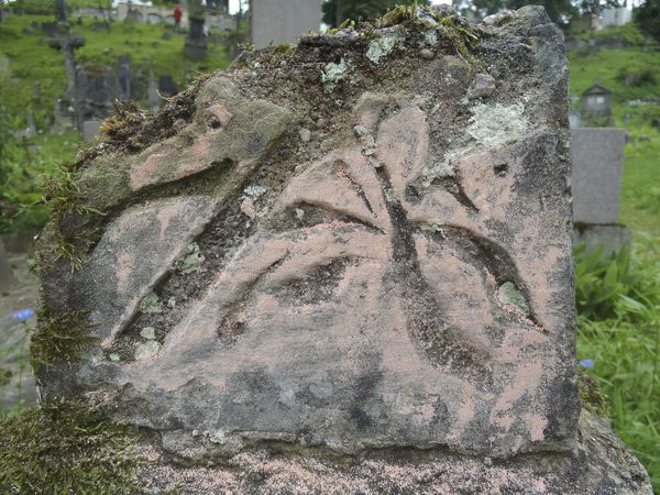 Detail of the gravestone of Aniela von Aszeberg, Rossa cemetery in Vilnius, as of 2013