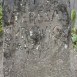 Fotografia przedstawiająca Nagrobek Teresy Syrewicz