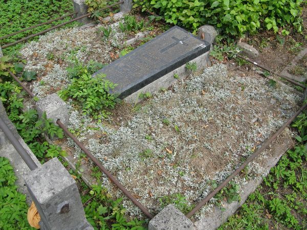 Grobowiec rodziny Rakowiczów, cmentarz Na Rossie w Wilnie, stan z 2013 roku