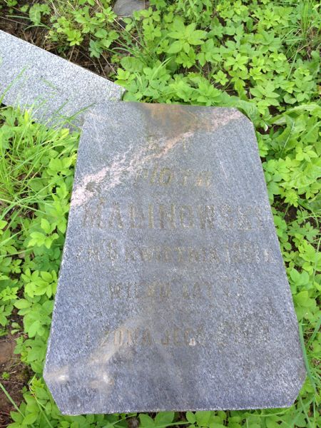 Fragment of the gravestone of Ewa and Piotr Malinowski, Na Rossa cemetery in Vilnius, as of 2014.