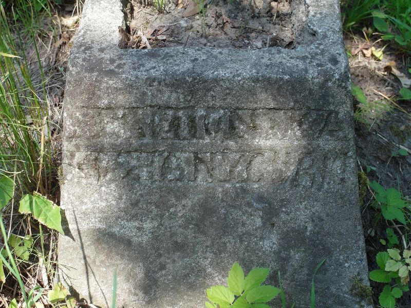 Fragment of Jan Lyskowicz's tombstone, Ross Cemetery, Vilnius, 2015