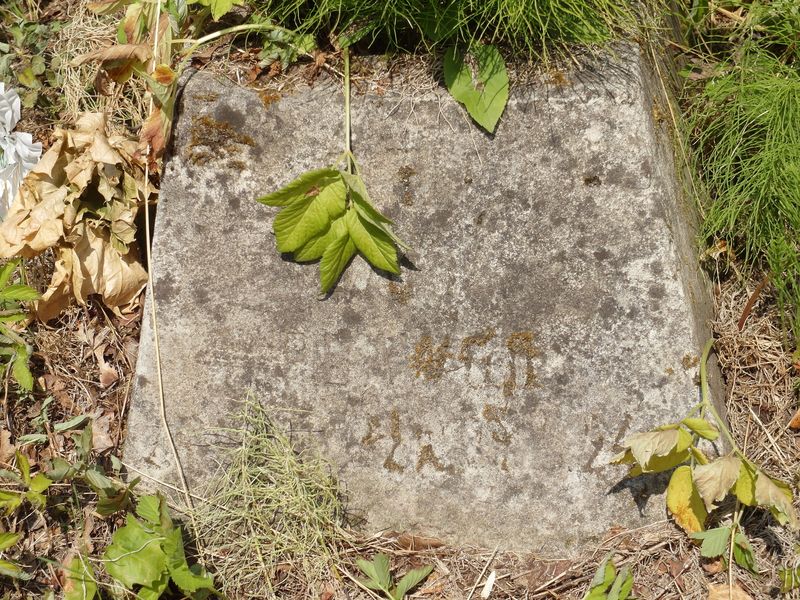 Fragment of Janina Plawgo's tombstone, Ross Cemetery, Vilnius, 2015