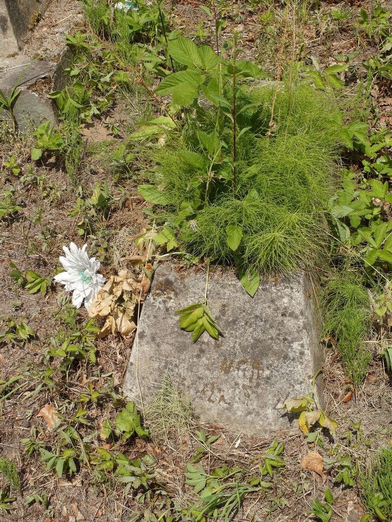 Tombstone of Janina Plawgo, Rossa cemetery in Vilnius, as of 2015