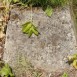 Photo showing Tombstone of Janina Plawgo