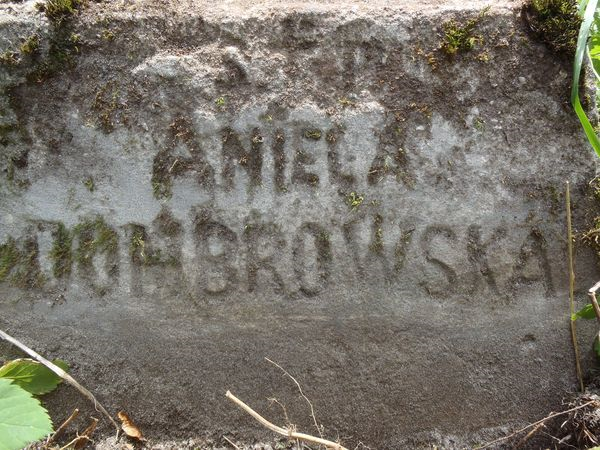 Inskrypcja na nagrobku Anieli Dombrowskiej, cmentarz na Rossie w Wilnie, stan z 2013