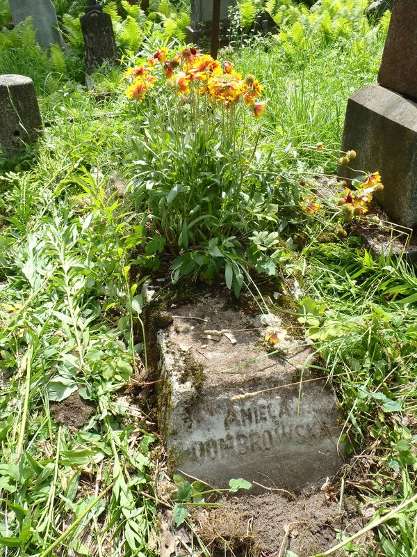 Tombstone of Aniela Dombrowska, Rossa cemetery in Vilnius, as of 2013