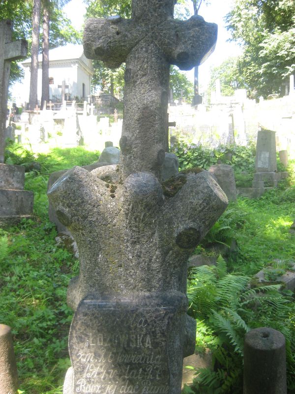 Fragment nagrobka Teofili Łozowskiej, cmentarz na Rossie, stan z 2013 roku