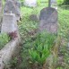 Photo montrant Tombstone of Bronislaw and Konstanty Malewski