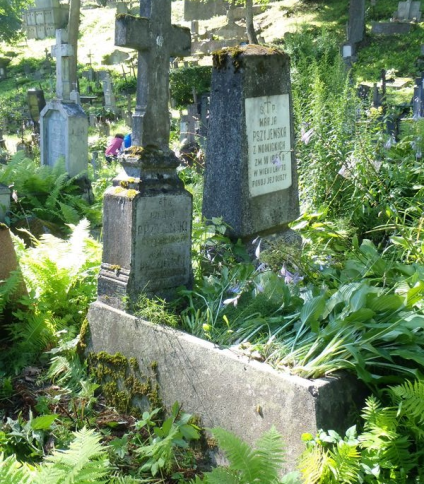 Nagrobek Antoniego i Hipolita Przyjemskich, cmentarz na Rossie w Wilnie, stan z 2013