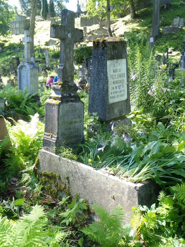 Tombstone of Antoni and Hipolit Przyjemski, Ross Cemetery in Vilnius, as of 2013