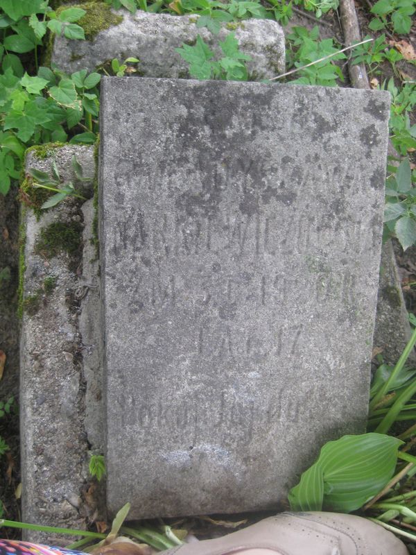 Fragment nagrobka Władysławy Narkiewicz, cmentarz na Rossie, stan z 2013 roku