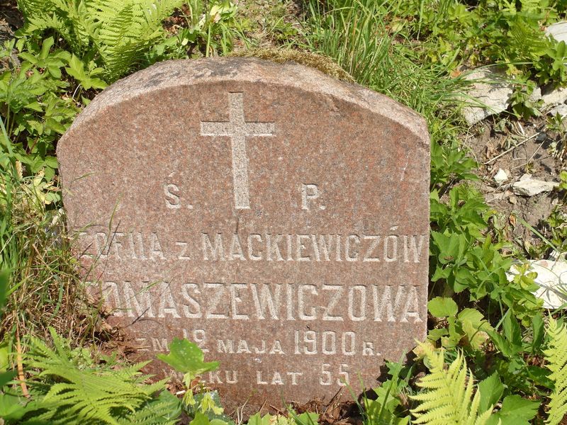 Nagrobek Zofii Tomaszewicz, cmentarz na Rossie w Wilnie, stan z 2015