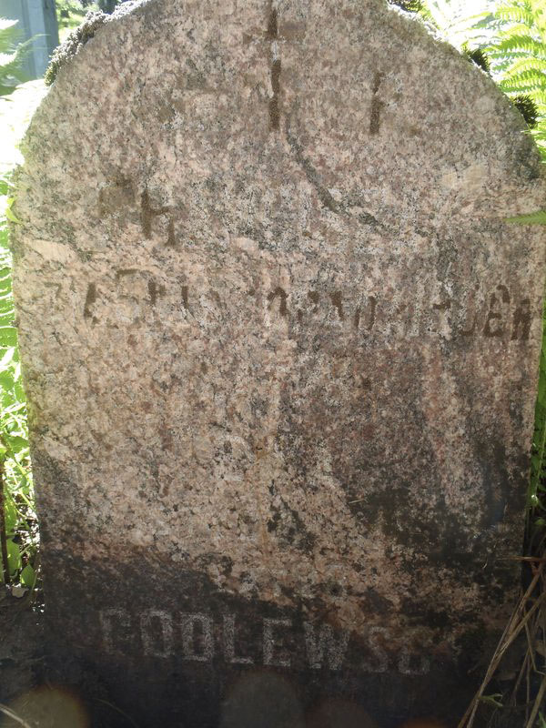 Inskrypcja na nagrobku Ewy i Franciszka Godlewskich, cmentarz na Rossie w Wilnie, stan z 2013