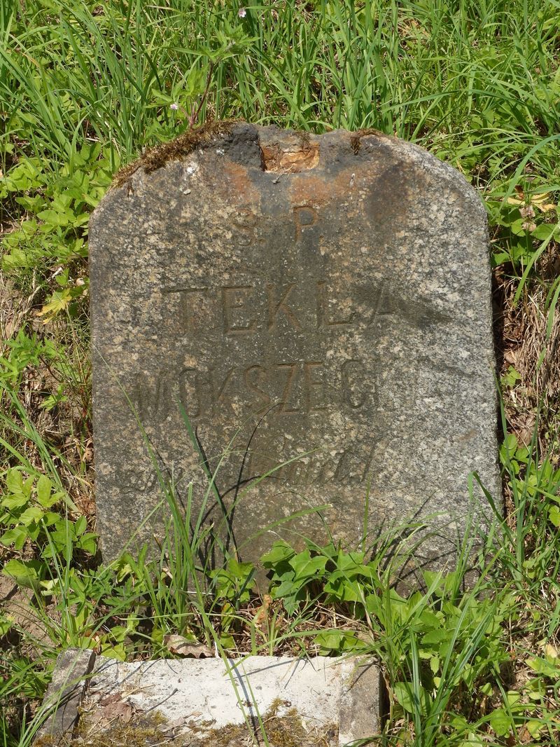 Fragment of Tekla Mokszecka's tombstone, Rossa cemetery in Vilnius, state of 2015