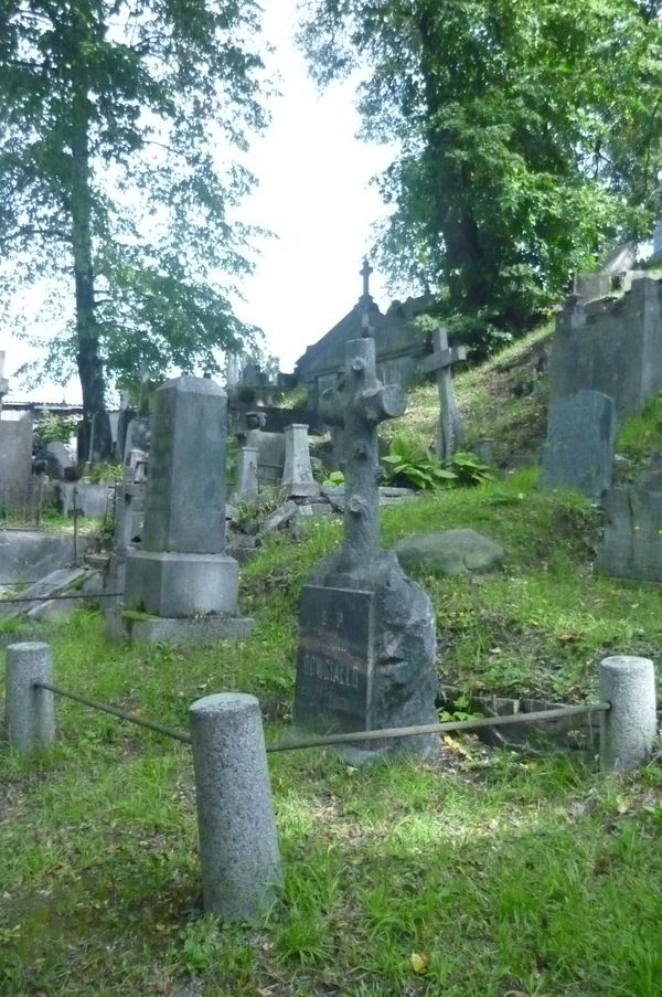 Nagrobek Franciszki i Gustawa Dowgiałłów, cmentarz Na Rossie w Wilnie, stan z 2013